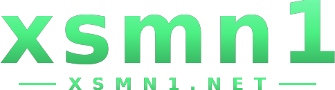 xsmn1 logo